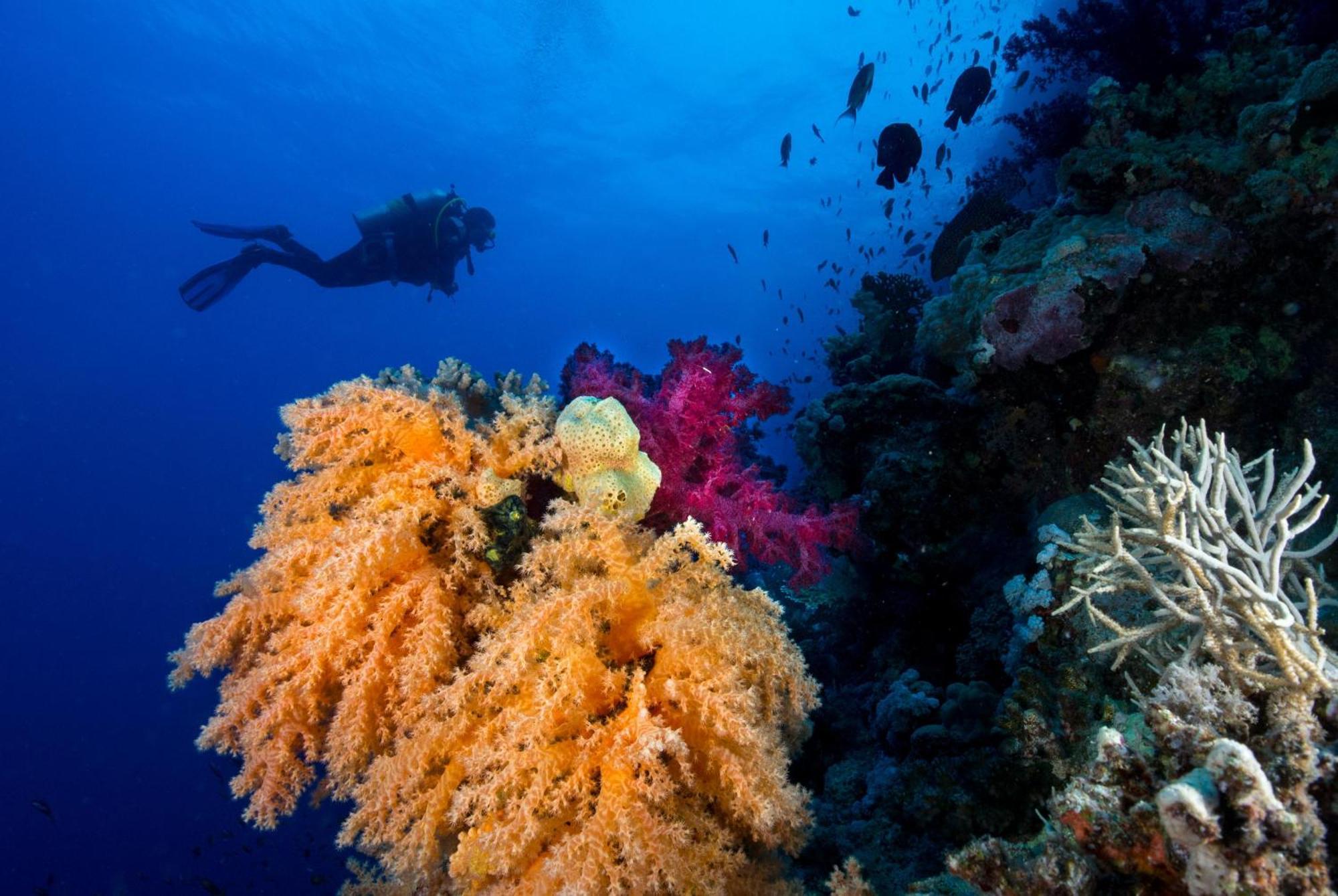 Club Paradisio El Gouna Red Sea Gurdaka Kültér fotó
